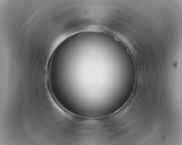 X0000091691479200709061115