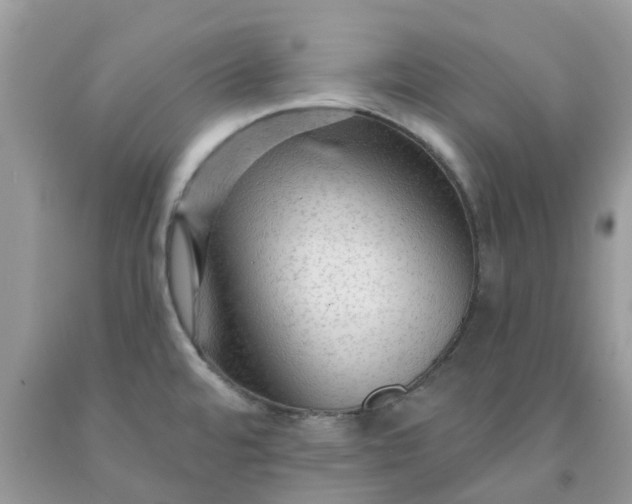 X0000091691480200709061115