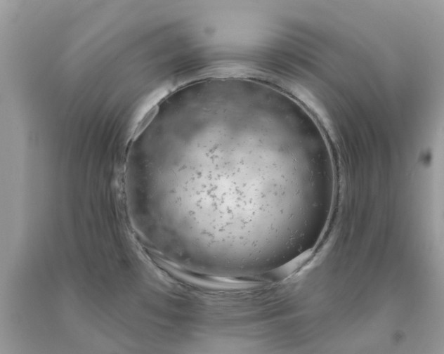 X0000091691481200709061115