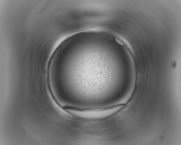 X0000091691483200709061115
