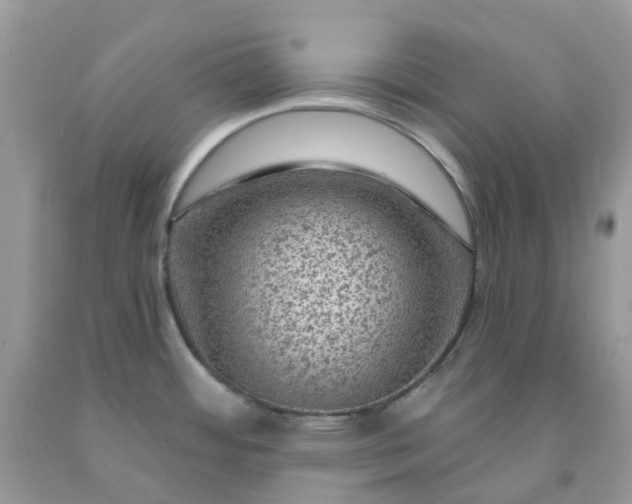 X0000091691484200709061115