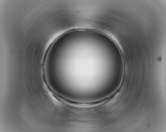 X0000091691485200709061115