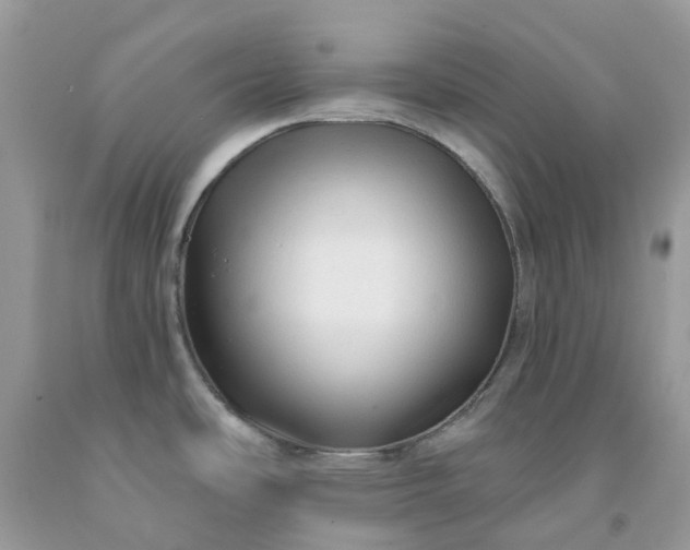 X0000091691486200709061115