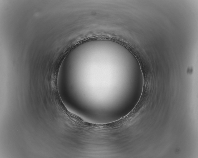 X0000091691490200709061114