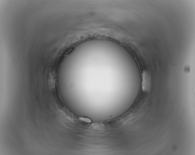X0000091691491200709061114