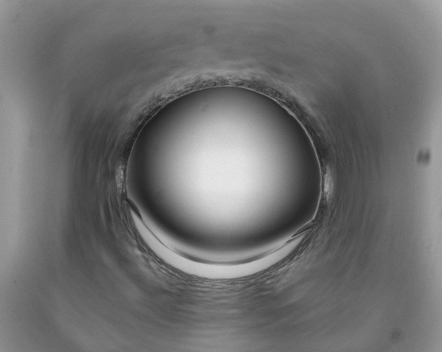 X0000091691492200709061114