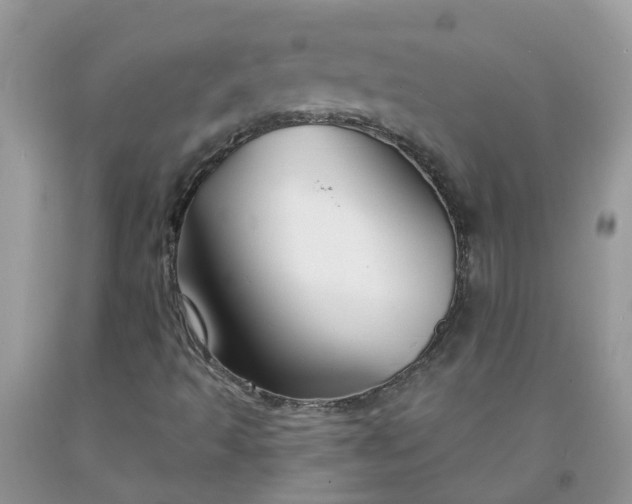 X0000091691493200709061114