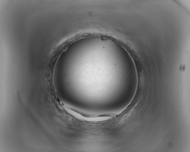 X0000091691494200709061114