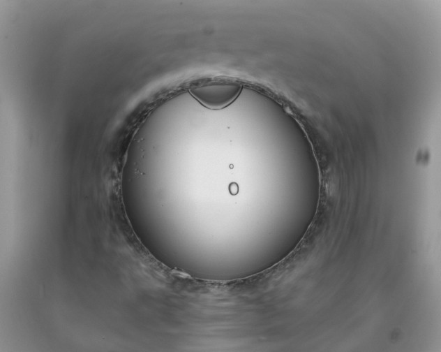 X0000091691495200709061114