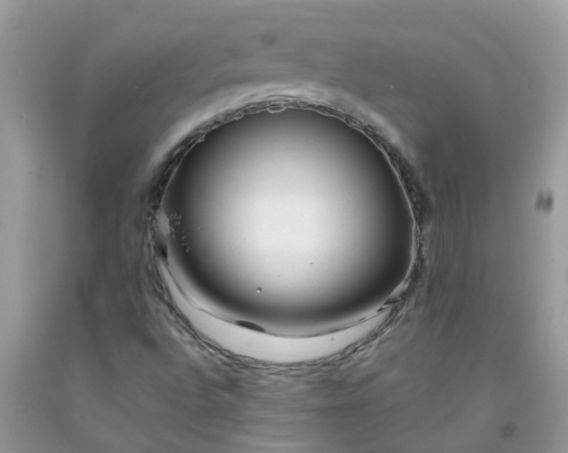 X0000091691496200709061114