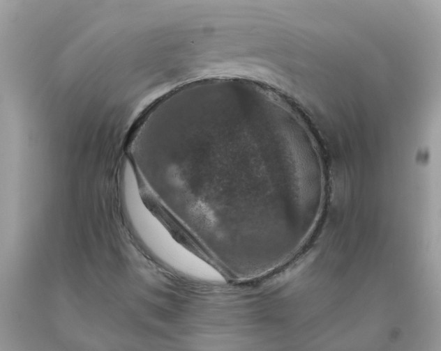 X0000091691497200709061114