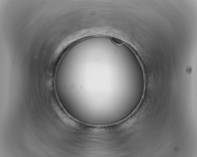 X0000091691499200709061114