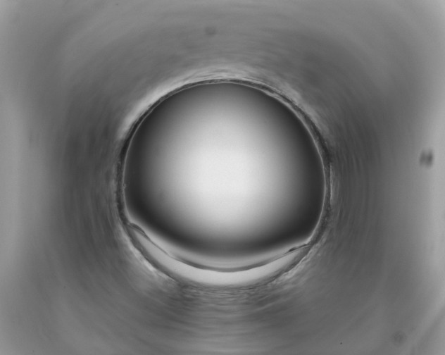 X0000091691500200709061114