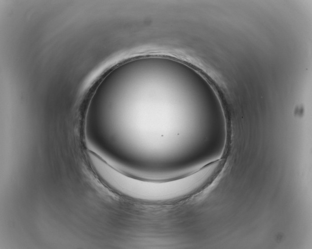 X0000091691502200709061114