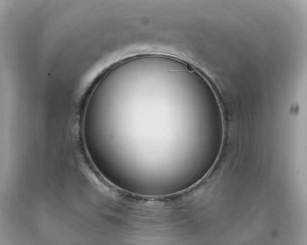 X0000091691503200709061114