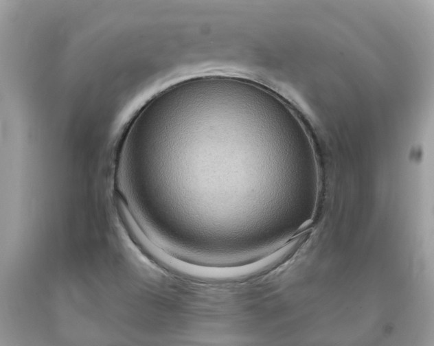 X0000091691504200709061114