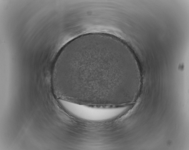X0000091691505200709061114