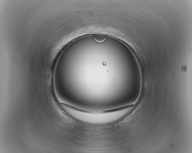 X0000091691507200709061114