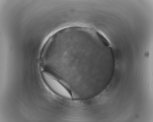X0000091691508200709061114