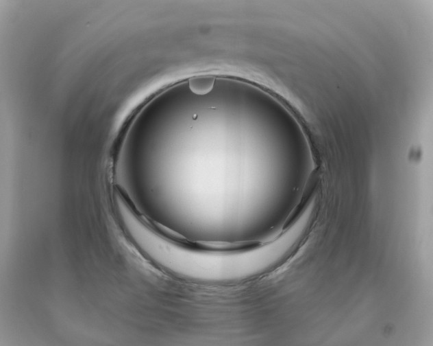 X0000091691510200709061114