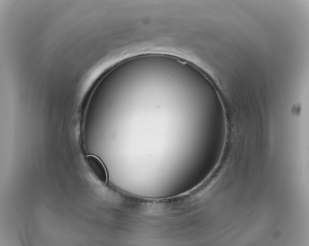 X0000091691511200709061114