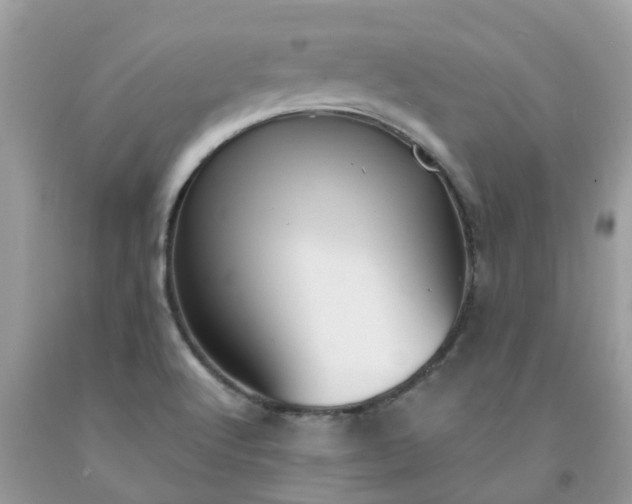 X0000091691512200709061114