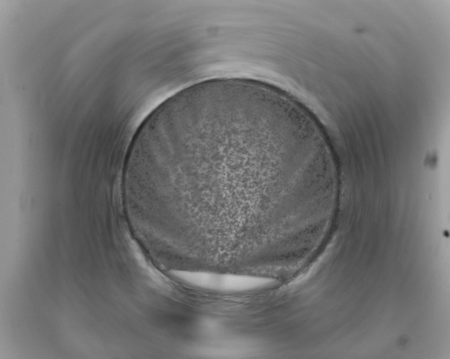 X0000091691513200709061114