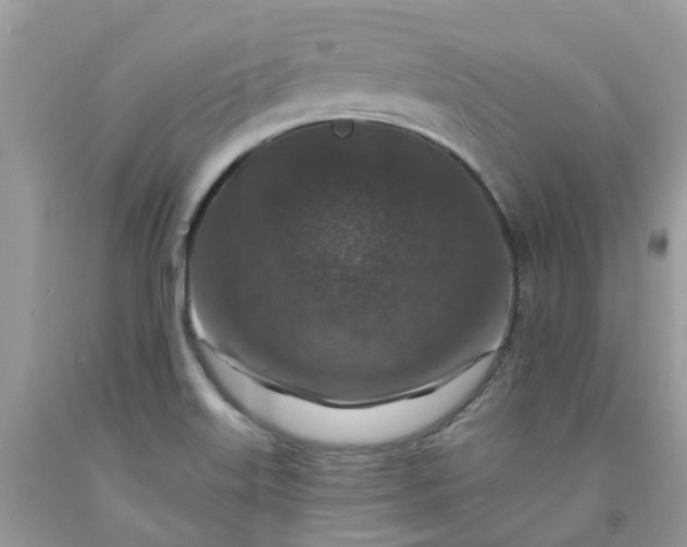 X0000091691515200709061114
