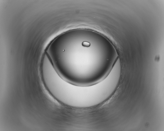 X0000091691518200709061114