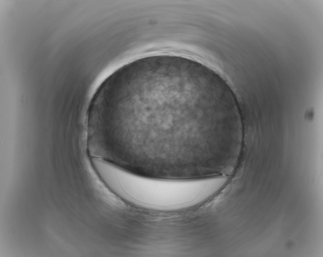 X0000091691522200709061114
