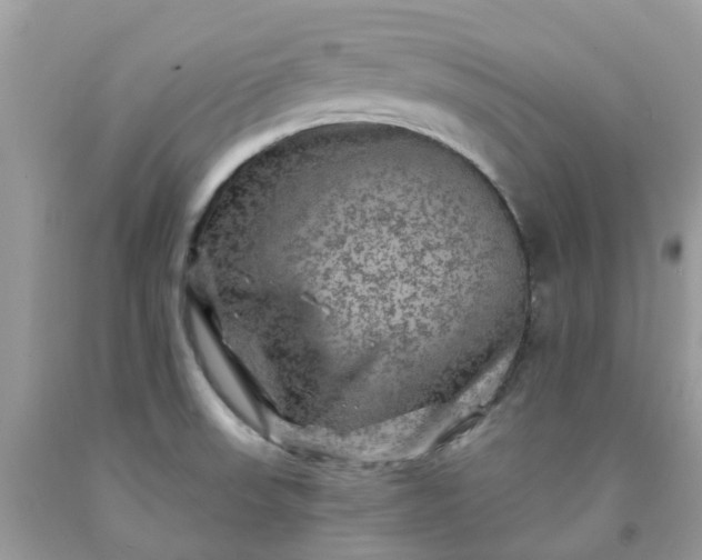 X0000091691523200709061114