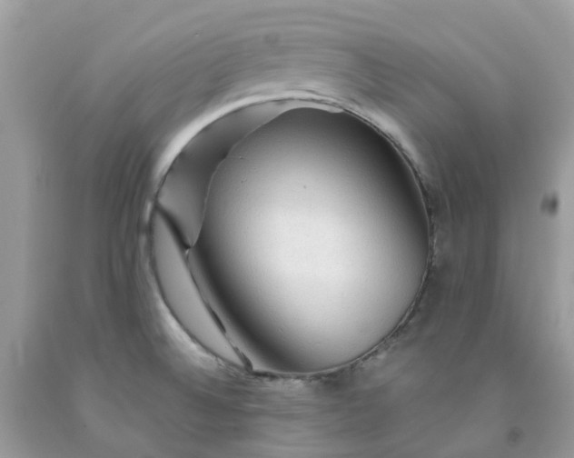 X0000091691524200709061114