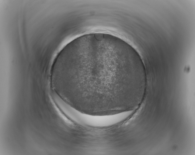 X0000091691525200709061115