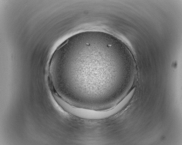 X0000091691528200709061115