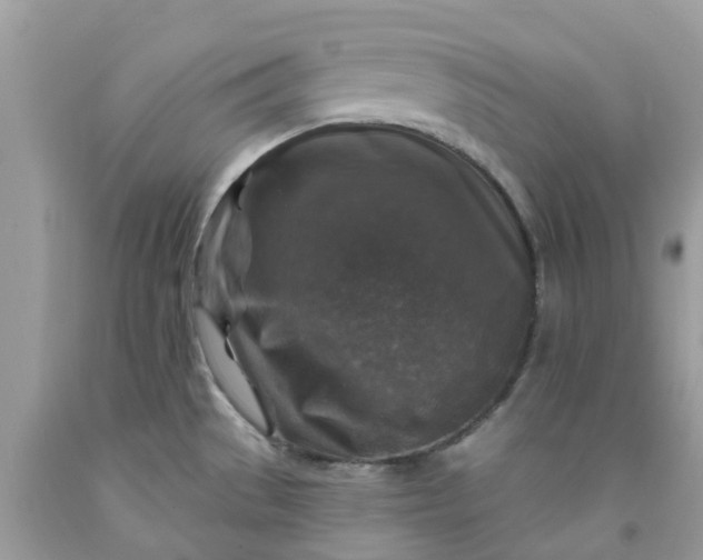 X0000091691529200709061115