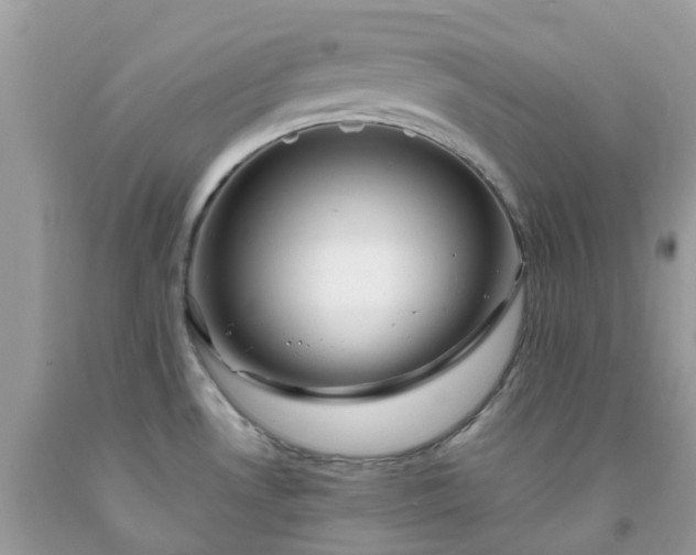 X0000091691530200709061115