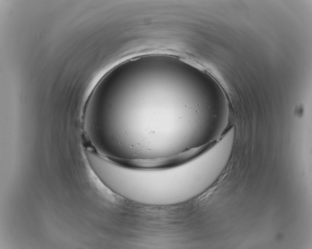 X0000091691532200709061115