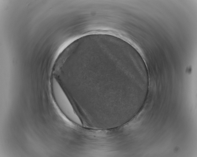 X0000091691533200709061115