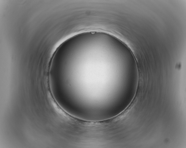 X0000091691534200709061115
