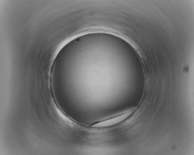 X0000091691535200709061115