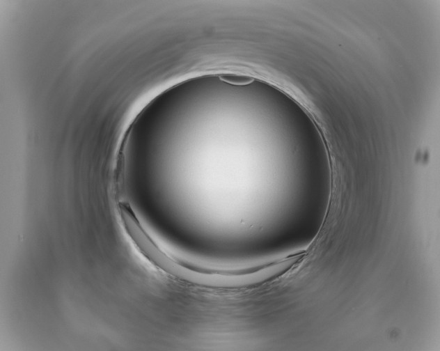 X0000091691536200709061115