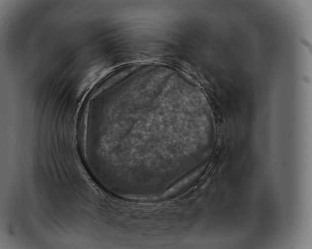 X0000091690002200709131616