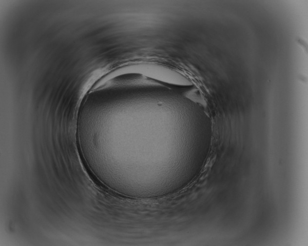 X0000091690003200709131616