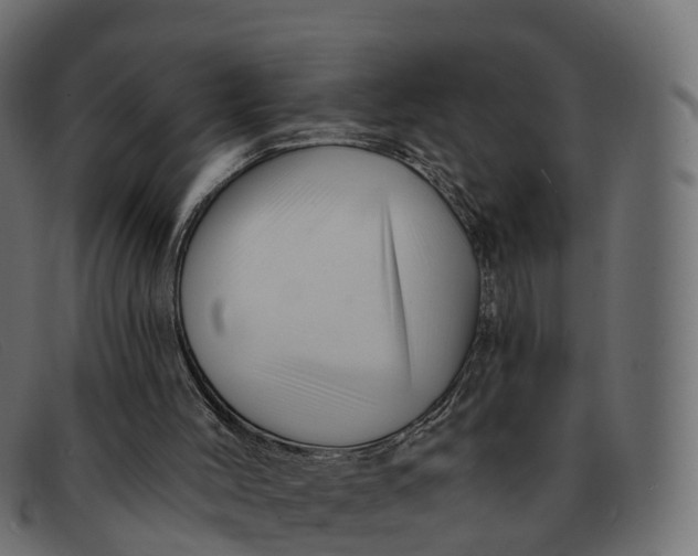 X0000091690004200709131616