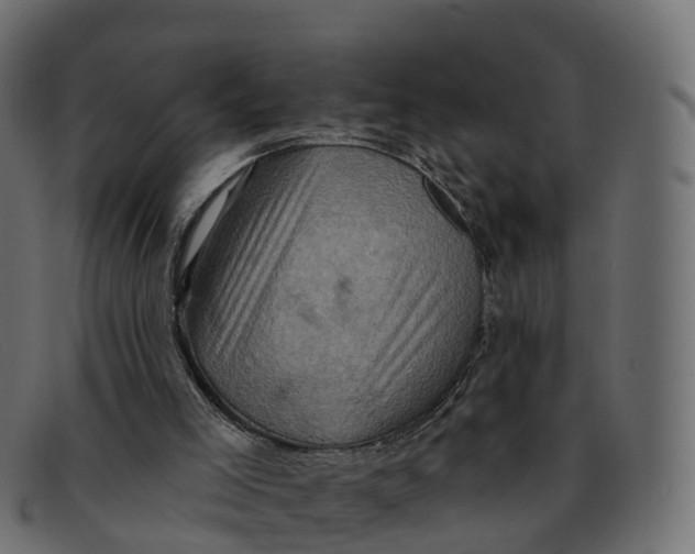 X0000091690005200709131616