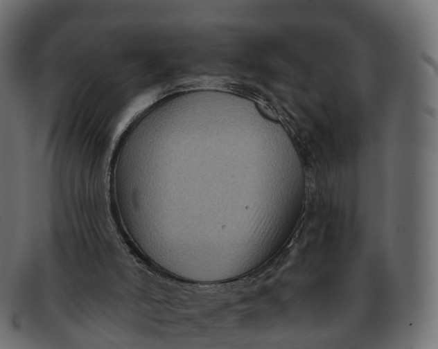 X0000091690006200709131616