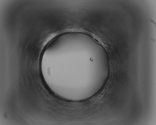 X0000091690008200709131615