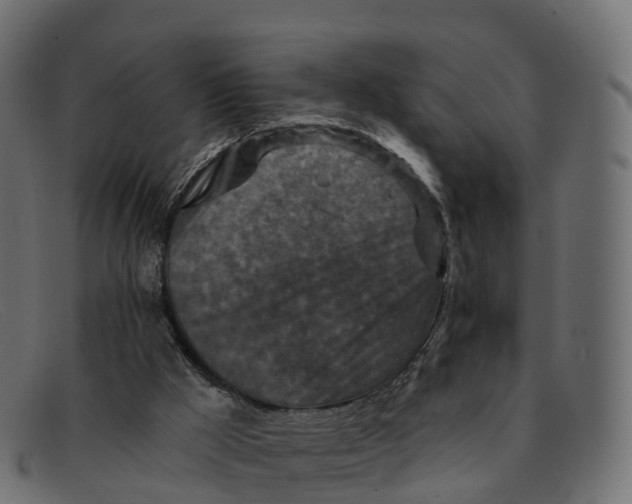 X0000091690009200709131615