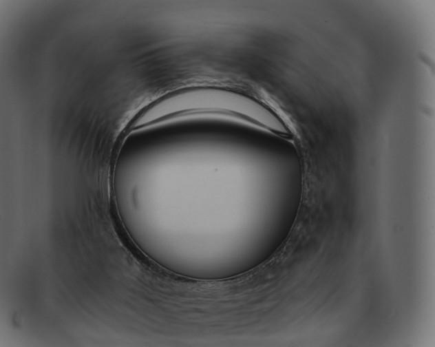 X0000091690011200709131615