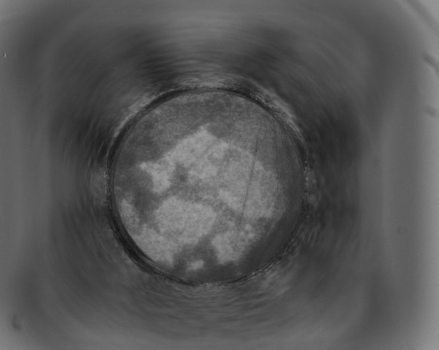 X0000091690012200709131615